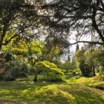 Vegetazione Giardino di Ninfa