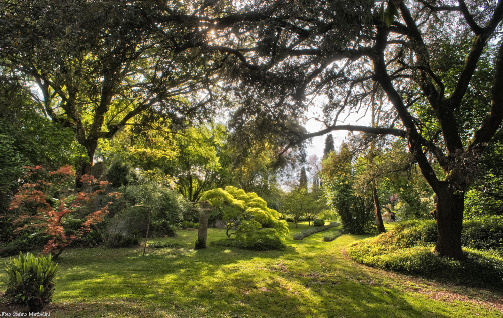 Vegetazione Giardino di Ninfa